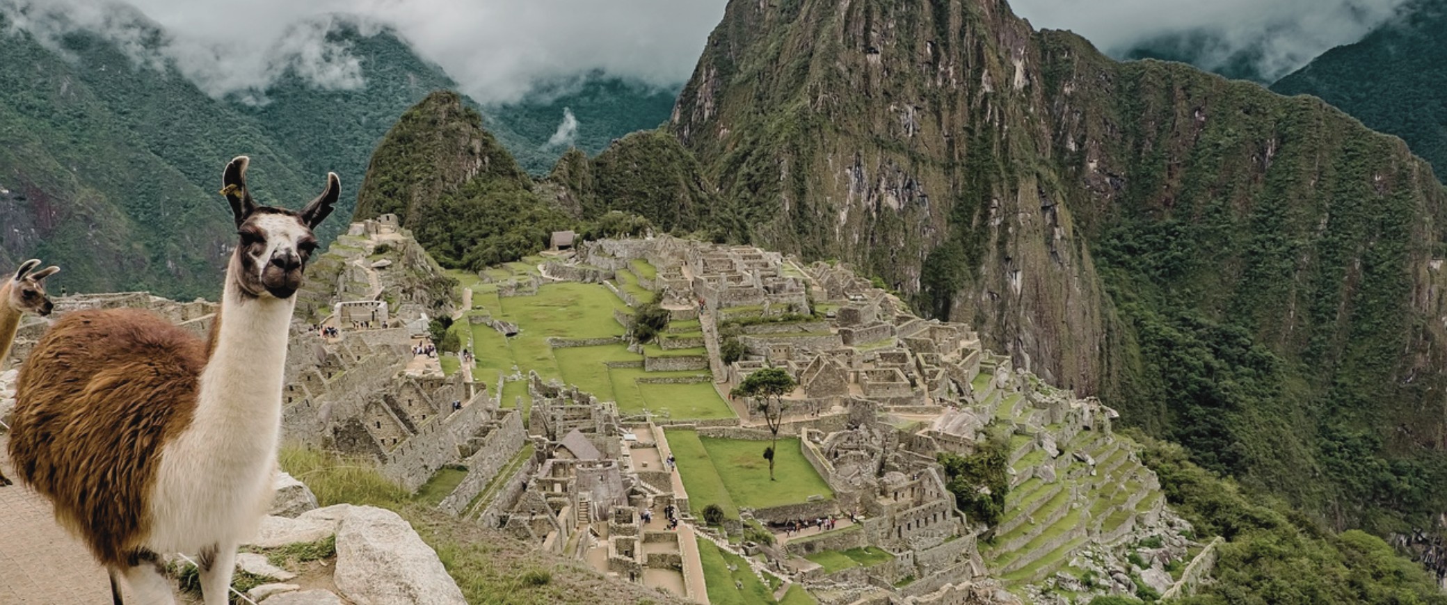 Viví Perú | Junio 2027
