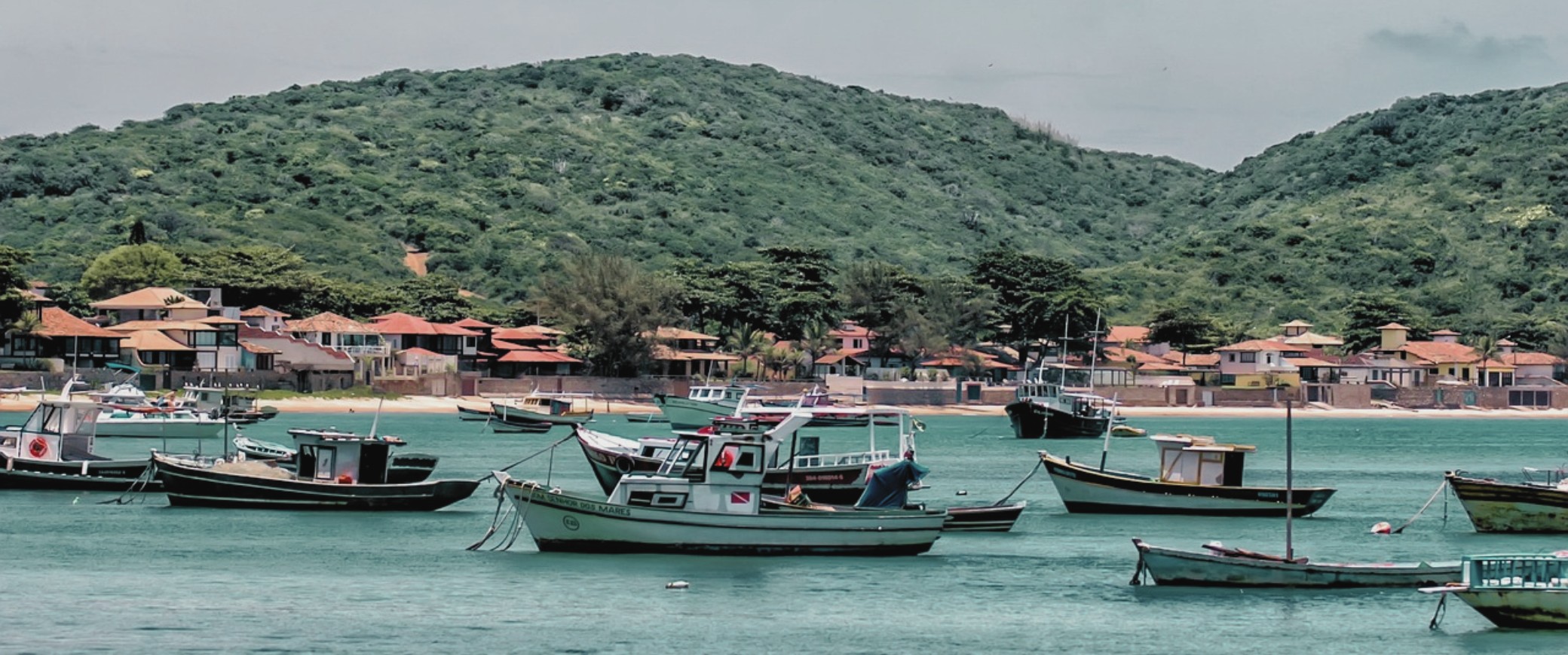 Buzios desde Sauce Viejo